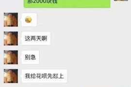 苍山融资清欠服务